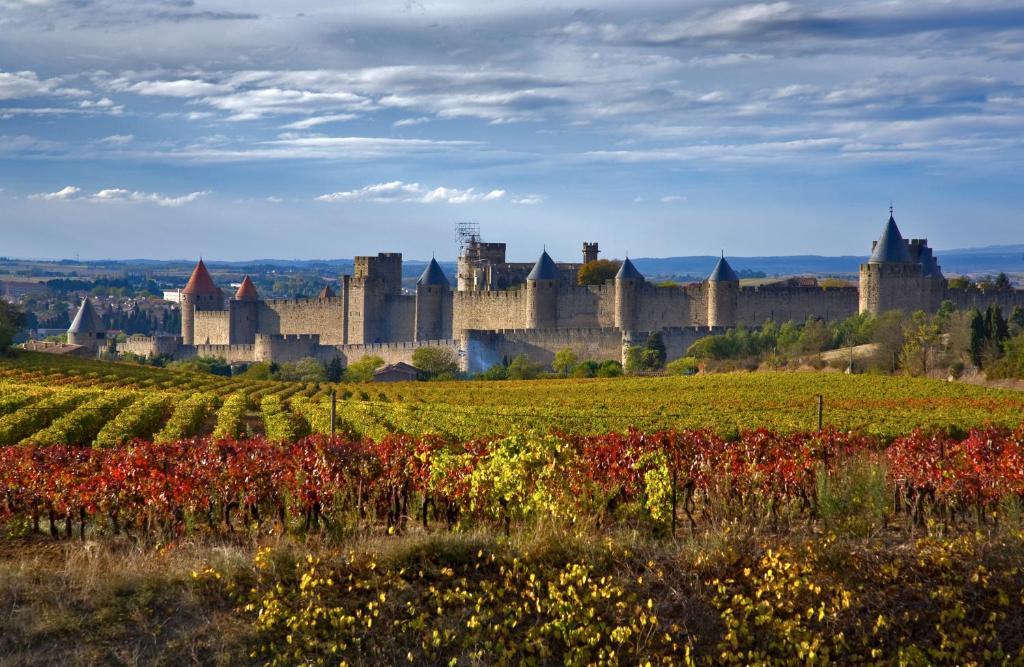 Bed & Breakfast Demeure Du Pareur Villeneuve-Minervois Экстерьер фото